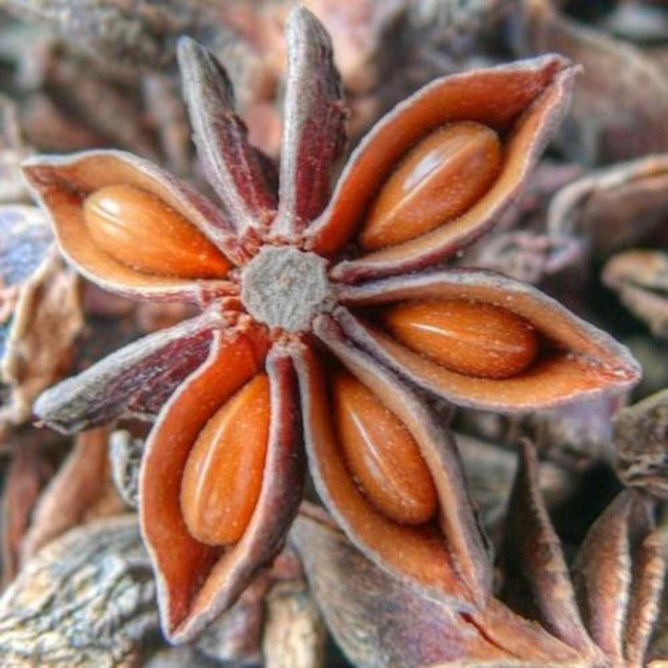 Badiane "anis étoilé" - 100% Naturelle - Origine Madagascar - Arts Délices