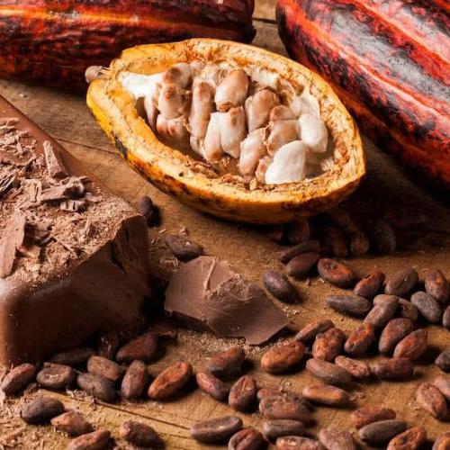 Fèves de cacao torréfiées - 100% Naturelle - Origine Madagascar - Arts Délices
