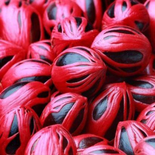 Macis de muscade - 100% Naturel - Origine Madagascar - Arts Délices