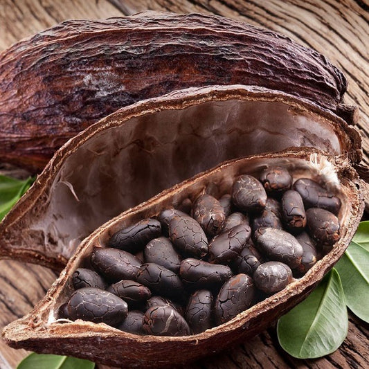 Le cacao, ses fèves, sa poudre son histoire...