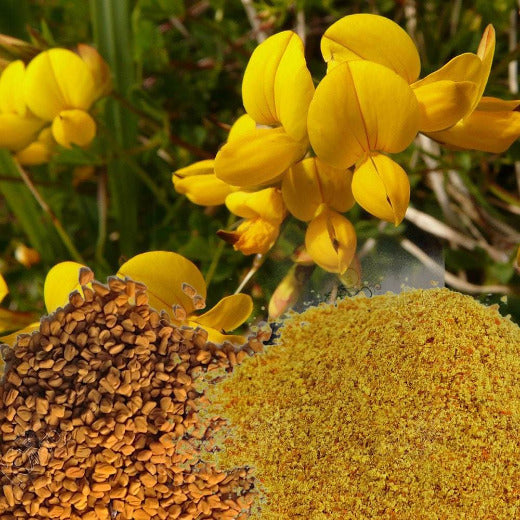 Fenugrec trigonelle en grains - 100% Naturel - Origine Madagascar - Arts Délices