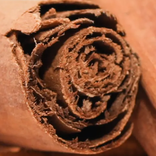 Cannelle de Ceylan en bâtons Sénégal