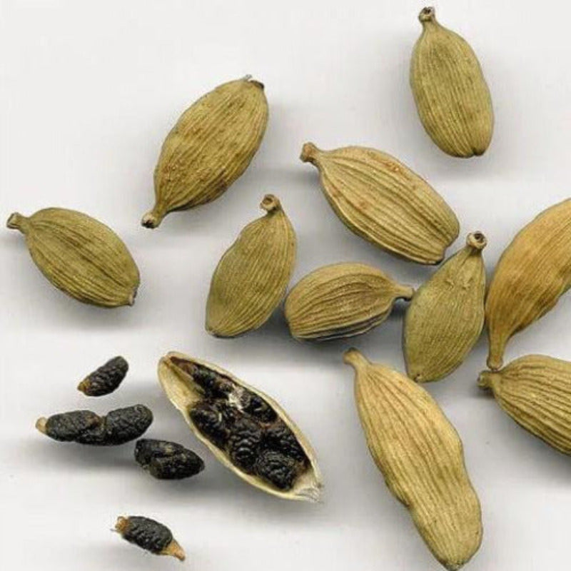 graines noires entières de cardamome verte avec sa gousse ou capsule