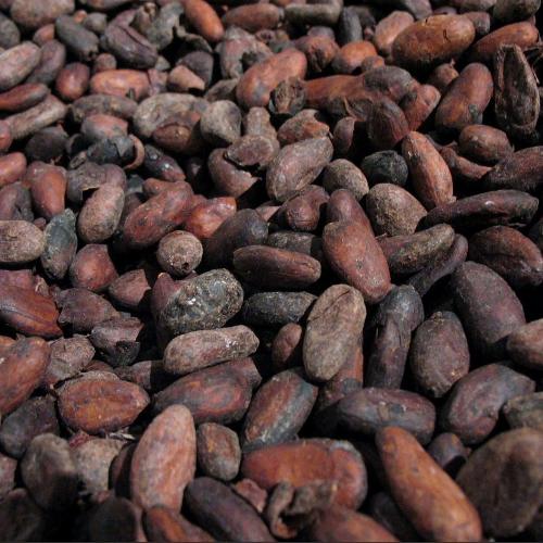 Fèves de cacao torréfiées - 100% Naturelle - Origine Madagascar - Arts Délices