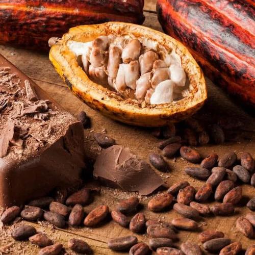 Beurre de cacao brut - Martinique / Guadeloupe / Guyane