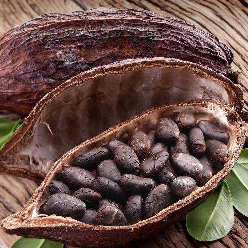 Fèves de cacao torréfiées - 100% Naturelle - Origine Madagascar - Arts Délices