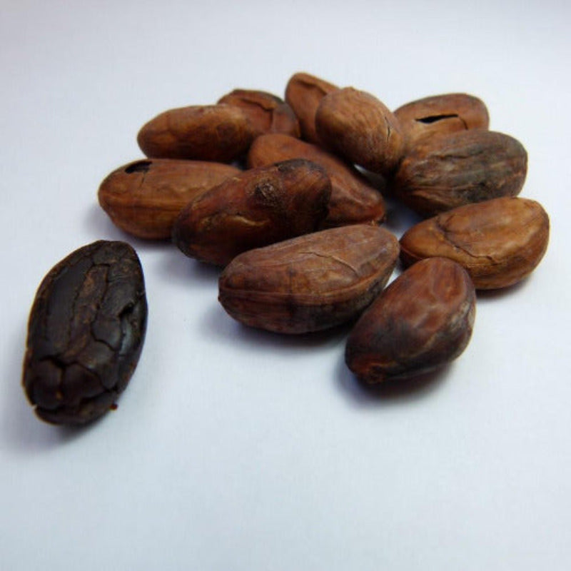 Fèves de cacao crues - 100% Naturelle - Origine Madagascar