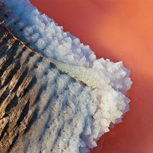 fleur de sel d'Ifaty 