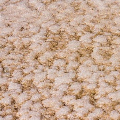 fleur de sel d'Ifaty