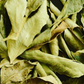 feuilles séchées de kaloupilé ou curry