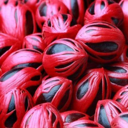Macis de muscade - 100% Naturel - Origine Madagascar - Arts Délices