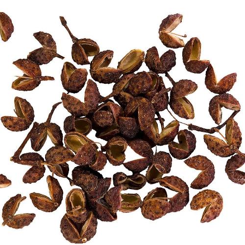 Poivre de Sichuan - 100% Naturel - Origine Chine - Arts Délices